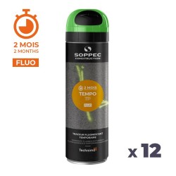 TEMPO TP temporary marking spray paint