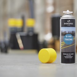 Polyvalent line marking trolley