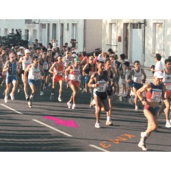 Peinture de Marquage Temporaire Mercalin TS