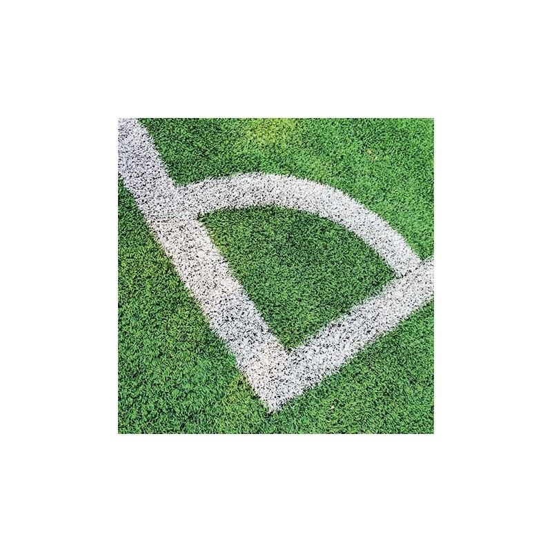 TRACING SPORT SOPPEC Line Marking Spray Paint for Grass